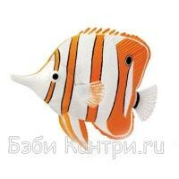 4-D пазл Рыба-бабочка носатый хелмон Fame Master 26541